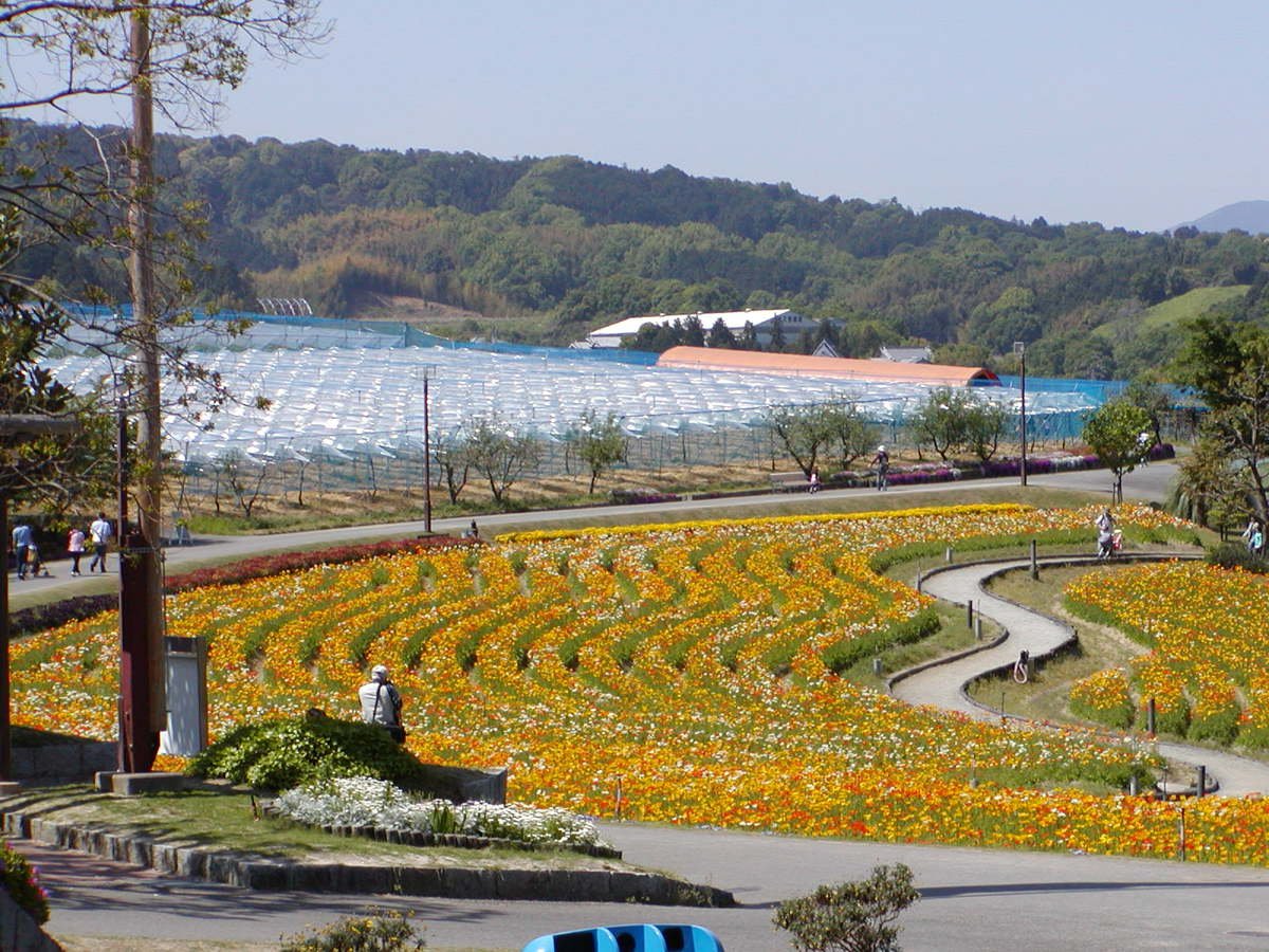 🍓 [운영 중단] 사바팜 (사바파무) 이미지 1